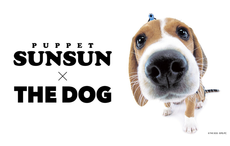 パペットスンスン×THE DOG